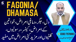 Fagonia/ Dhamasa || Homeopathic Medicine || By Dr. Rizwan Saqib || In Urdu/Hindi