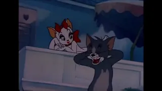 My Cartoon For Kids Tom And Jerry English Episodes   Solid Serenade   Cartoons F