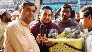 Birds Market Lalukhet Sunday Video Latest Update 19-12-21 Exotic Parrots in Urdu/Hindi.