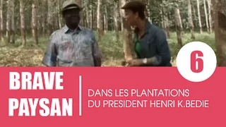 Brave paysan /  Le président Bédié nous ouvre les portes de ses plantations (2e partie)