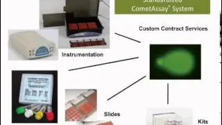 Introduction to the CometAssay®