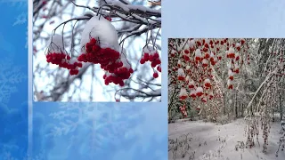Видео презентация "Новогодние фото этюды" СДК с. Молдовановка