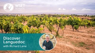 Discover Languedoc wine with Richard Lane DipWSET