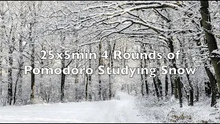 Study Interval Music 25min 5min Pomodoro Snow Sounds
