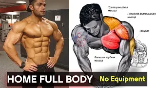 FULL BODY EXERCISE BODYWEIGHT  - No Equipment Workout