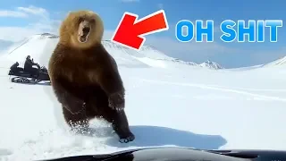 Top 5 Scariest Bear Encounters Caught on GoPro Camera