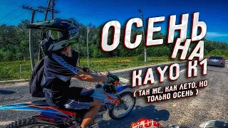 ОСЕНЬ на KAYO K1 // как лето, но только осень