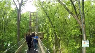 Explore Hidden Lake Gardens new canopy walk