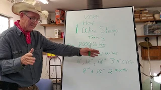 Greg Judy explains his one hot wire sheep training process