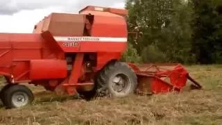 MASSEY FERGUSON 430