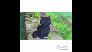 القطط السوداء لا تجلب الحظ السيئ 😟🐈💕💕#دوبلاج_عربي