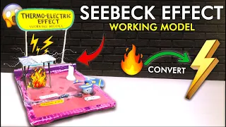 How to make -Thermo Electric Effect | Physics Working Model #physics #innovation #creative