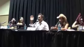 Voice Actor Farewell Sunday Panel @ Metrocon 2015