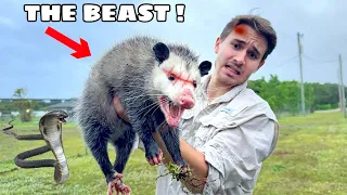 WE CAUGHT the BEAST BREAKING In My SISTERS HOUSE !