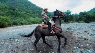 Los Austeros De Durango - El Tolo (Video Oficial)