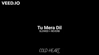 Tu Mera Dil (SLOWED + REVERB) Falak Shabir | COLD HEART