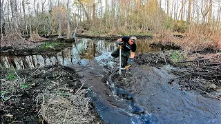 Beaver Dam Removal At Mother Beaver Dam Number 2! Part 5! Draining The Swamp!