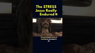 The Stress Jesus Really Endured During CRUCIFIXION 😭 #shorts #youtube #bible #passion #fypシ