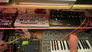 SH101 Bass Patch with Noise LFO