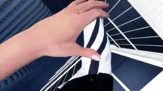 Mirror's Edge New Animations 2 (WIP)