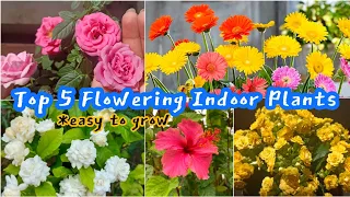Top 5  Flowering Plants for Your Home 🌸🌻🌺🌼 #indoorplants indoor flower plants @IMGARDENER