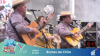 Brotes de Chile en Cuecas Mil 2023