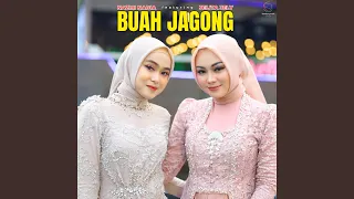 Buah Jagong