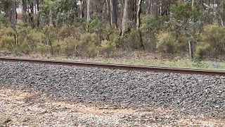 City of Melbourne  R707 coming into Maryborough Vic