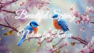 Perfect music mix for relax and meditation. Beautiful Birdsong and Nature's Beauty 🌿🎶