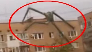 5 Scariest Unknown Creatures Caught on Camera & Spotted in Real life