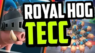 How To Use: Royal Hogs // Clash Royale NEW CARD
