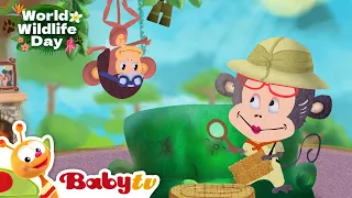 Giraffe 🦒 | Animal Videos For Kids | Wild Animals | Full Episode @BabyTV