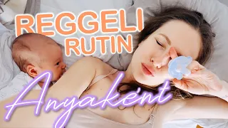 👶 REGGELI RUTIN ANYAKÉNT | ITT A BABA ♡ Chloe From The Woods