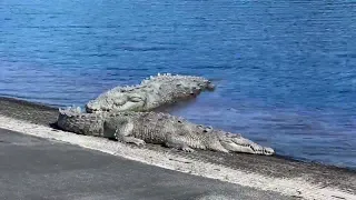 Just another day in the Everglades NP