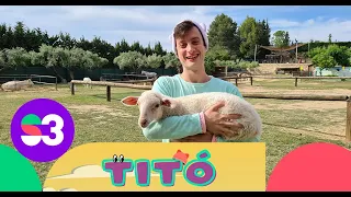 Excursió a la granja - Titó
