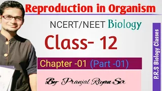 Reproduction in organisms| NCERT Biology | Class 12 | 1st Chapter| NEET | AIIMS | Biology Lecture|