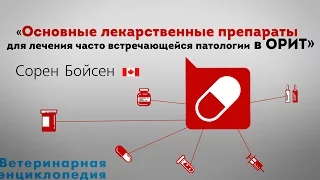 Основные лекарственные препараты для лечения часто встречающейся патологии в ОРИТ