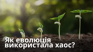 Як еволюція використала хаос? Квантовий експеримент розкрив секрет ефективності фотосинтезу