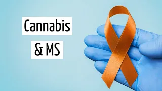 Medical Marijuana for Multiple Sclerosis | Discover Marijuana