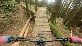 Galbraith In search of old wood  [MTB PNW]
