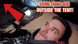 The Most Scared I've Ever Been While Solo Camping //  IN BIGFOOT TERRITORY