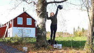 An Autumn Day In Rural Sweden