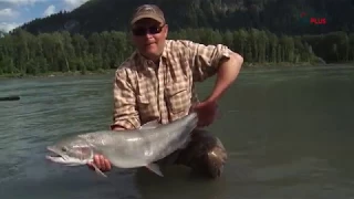 Angelvideo Wilde Wasser Trailer - Traumfischen am Skeena River | Nur auf ANGELNplus