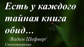 Книга обид /Вадим Шефнер/