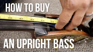 HOW TO BUY AN UPRIGHT BASS: 8 Tips For Beginners