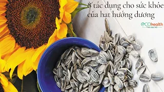 8 tác dụng cho sức khỏe của hạt hướng dương