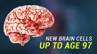 The human brain can grow new neurons up to age 97