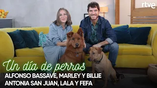 Antonia San Juan y Alfonso Bassave | #5 | Un día de perros con Dani Rovira