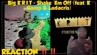 Big K.R.I.T. - Shake 'Em Off (feat. K Camp & Ludacris) REACTION!!! THIS IS 🔥🔥🔥🔥