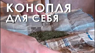 Конопля для себя